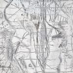 Jose Yisa, Diarios de frontera - DDF, 2012 -2017