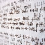 Virginia Guilisasti, Fui, Soy, Seré (I was, I am, I will be), 2018