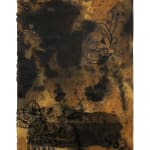 Jose Yisa, Diarios de frontera - DDF, 2012 -2017