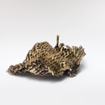 Fernanda Gutiérrez, Prototipo (Prototype), 2012