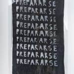 Virginia Guilisasti, Fui, Soy, Seré (I was, I am, I will be), 2018