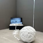 Fernanda Gutiérrez, Prototipo (Prototype), 2012