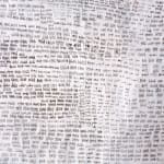 Virginia Guilisasti, Fui, Soy, Seré (I was, I am, I will be), 2018