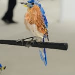 Thomas Deininger, Red Bird, Blue Bird, We're All Screwed Bird, 2021