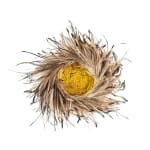Yulki Nunggumjbarr, Wulbung (Basket), 2021