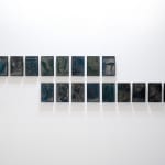 Pushpakanthan Pakkiyarajah, Dark diary, 2019-2021