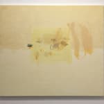 Shikh Sabbir Alam, Apparition of a squid I, 2024