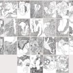 Pushpakanthan Pakkiyarajah, Diary of wounded flowers, 2024-2025