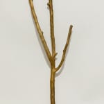 Adip Dutta, Topographic Specimens (9), 2020