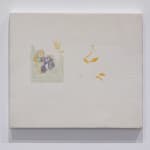 Shikh Sabbir Alam, Apparition of a squid I, 2024