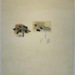 Shikh Sabbir Alam, Apparition of a squid I, 2024