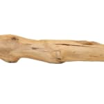 Prabhakar Pachpute, Untitled, 2020