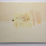 Shikh Sabbir Alam, Apparition of a squid I, 2024