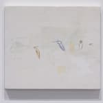 Shikh Sabbir Alam, Apparition of a squid I, 2024