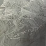 Bhasha Chakrabarti, Soft Firmament (Dawn), 2024