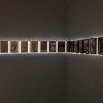 Pushpakanthan Pakkiyarajah, Dark diary, 2019-2021