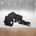 Pushpakanthan Pakkiyarajah, Blooded flowerscape, 2024-2025