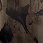Pushpakanthan Pakkiyarajah, Dark diary, 2019-2021