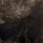 Pushpakanthan Pakkiyarajah, Dark diary, 2019-2021