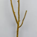 Adip Dutta, Topographic Specimens (9), 2020