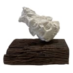 Prabhakar Pachpute, Museum Menageries 44 (The fossil reptile), 2025