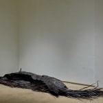 Sakshi Gupta, Give yourselves to the air, to what you cannot hold, 2023