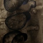 Pushpakanthan Pakkiyarajah, Dark diary, 2019-2021