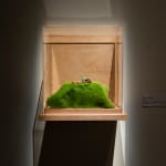 Michelle Sound, Medicine Bag (Tobacco), 2025
