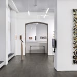 Beau Dick, Dzunuk'wa Four-Way Transformation, c. 1995-2005