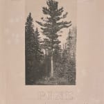 Carl Beam, XXII, n.d.