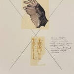 Carl Beam, XXII, n.d.