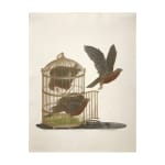 Susan Jameson, The Bird Cage II, 1978