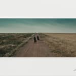 Shirin Neshat, Offerings Series (2019), 2020