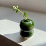 Tilly Slight, Arctic white IX, 2021