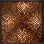 Kate MccGwire, SEPAL (Pica Pica) , 2023