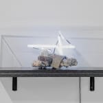 Léo Fourdrinier, Dogs monologue, 2017