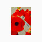 Teruko Yokoi, Poppies-2, 1982