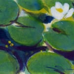 Teruko Yokoi, Ohne Titel (Japanese Diary - Water Lily), n.d.