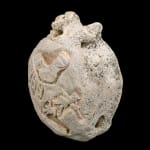 UNIDENTIFIED ARTIST, PROBABLY YANOMAMI, Bowl, c. 1980s