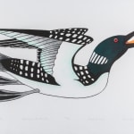 RANDY STIGLITZ (1956-) COAST SALISH / CREE, VANCOUVER, B.C., Dzunuḵ̓wa (Wild Woman)