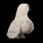 JOSEPHIE ACULIAK (1910-1968) INUKJUAK (PORT HARRISON), Curled Hare, Scenting Danger, 1960