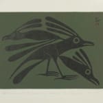 RANDY STIGLITZ (1956-) COAST SALISH / CREE, VANCOUVER, B.C., Dzunuḵ̓wa (Wild Woman)