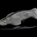 PAULOOSE AHRNNKVINA, QIKIQTAALUK (NORTH BAFFIN), Probably PANNIQTUUQ (PANGNIRTUNG), Whale, 1970s