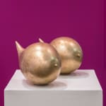 Vanessa Safavi, Tales of ignorance, Tales of evidence, 2023