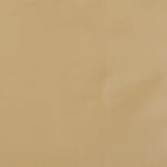 Sand Taffetas Silk