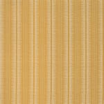 Marrakesh Yellow Ochre On Oyster