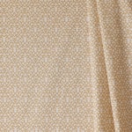 Lattice Mustard