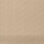 Ecume Silk Faux Plain Champagne