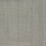 Wild Canvas Greige