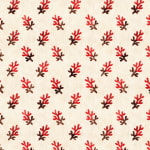Corail